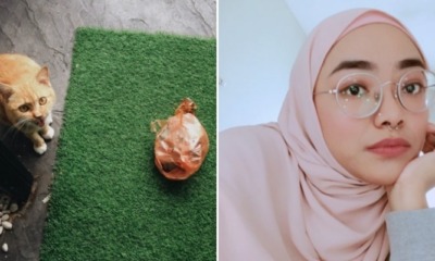 SMH M’sians Focuses On Owner's Nose Ring Instead Of A Good Deed Done By Her Cat - WORLD OF BUZZ