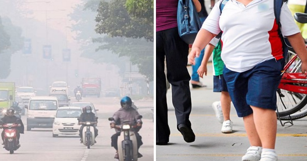 Study: Air Pollution From Vehicles Found to Increase Risk of Childhood Obesity - WORLD OF BUZZ
