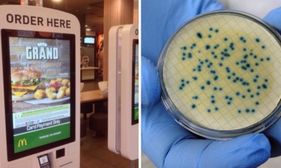 Touchscreen Menus at McDonald's UK Are So Gross, Tests Found Traces of Human Faeces on Them - WORLD OF BUZZ