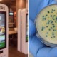 Touchscreen Menus at McDonald's UK Are So Gross, Tests Found Traces of Human Faeces on Them - WORLD OF BUZZ