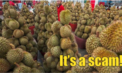 155 People Lost RM3.1mil In Musang King Investment Plan Scam - WORLD OF BUZZ