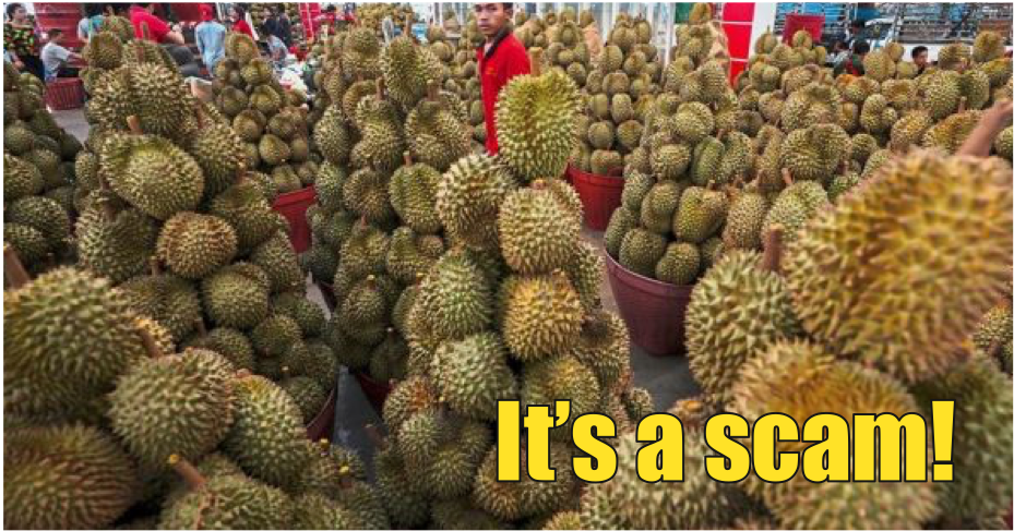 155 People Lost RM3.1mil In Musang King Investment Plan Scam - WORLD OF BUZZ