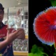 27yo M'sian Quits His Engineering Career to Become a Fish Breeder, Now Earns a Five-Figure Salary - WORLD OF BUZZ