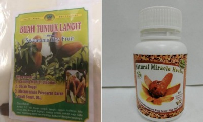 7 People Suffered Liver Damage After Consuming Mahogany Seeds Supplements From M'sia & S'pore - WORLD OF BUZZ
