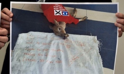 Death Threat Sent to Agriculture Minister Because His Calf Died After Being Run Over - WORLD OF BUZZ 2