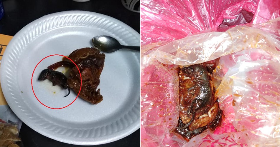 Man Shockingly Finds Dead Baby Rat in Soy Sauce Chicken He Bought From Warung - WORLD OF BUZZ