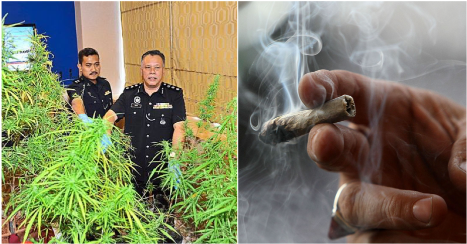 Police: We Reject The Legalization Of Medical Marijuana - WORLD OF BUZZ 3