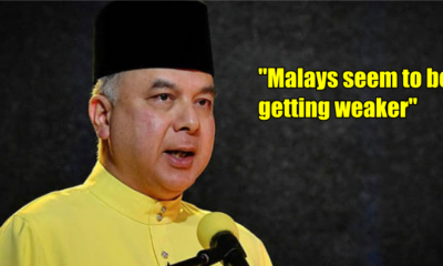 Sultan Nazrin: Malays Are Obsessed With Blaming Each Other - WORLD OF BUZZ 4