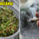 Thailand Has Just Become The First Southeast Asian Country to Legalist Medical Marijuana - WORLD OF BUZZ 2