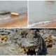Tourists Unfazed By Crocs In Kuala Sungai Baru, Melaka - WORLD OF BUZZ