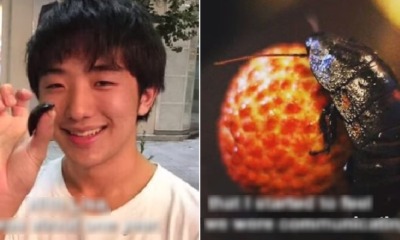 23yo Guy Dates Cockroach for a Year After He Fell In Love With Her, Even Wanted to Have Sex - WORLD OF BUZZ 5