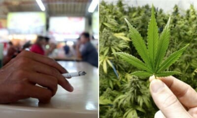 A Carton Of Cigarettes Is Much More Harmful Than 200g Of Marijuana, Forum Calls For Change In Malaysian Laws - WORLD OF BUZZ 6