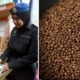 Famous Coffee Factory In Penang Shutdown After Rat Droppings Discovered During Raid - WORLD OF BUZZ