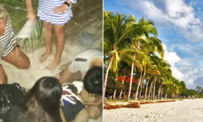 Tourist Shockingly Killed By Fallen Coconu - WORLD OF BUZZ