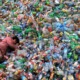 Malaysia Rated One Of The World’s Worst For Plastic Pollution - WORLD OF BUZZ 3