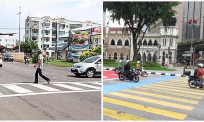 Netizen Wants Drivers to Know Why Zebra Crossings Have Different Colours - WORLD OF BUZZ