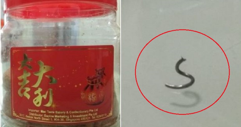 S'porean Lady Found Hook-Like Metal Piece in CNY Peanut Snack Originating From Malaysia - WORLD OF BUZZ