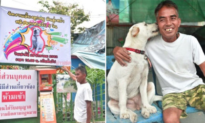 This Man Organized a Homecoming Party After He Found His Dog That Went Missing For 5 Days - WORLD OF BUZZ