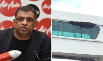 Tony Fernandes Shares Photo of Bees in klia2 - WORLD OF BUZZ