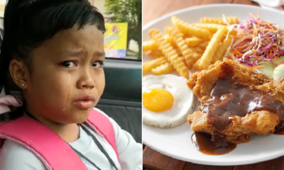 Daughter Chicken Chop - WORLD OF BUZZ 3