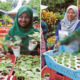 Inspiring M'sian Couple Sells Plant Saplings At RM1, Earns Up to RM4,000 Per Week - WORLD OF BUZZ