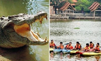 Irresponsible Person Dumps Crocodile Into Shah Alam Lake, Public Warning Issued - WORLD OF BUZZ