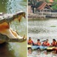 Irresponsible Person Dumps Crocodile Into Shah Alam Lake, Public Warning Issued - WORLD OF BUZZ
