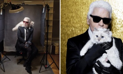 Karl Lagerfeld's Cat Richer Than All of Us As She Inherits Part Of RM1.55 Bil After Owner's Death - WORLD OF BUZZ