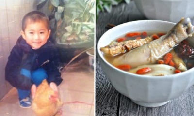 Man Shares Story About How Childhood Pet Chicken "Disappeared", Netizens Relate - WORLD OF BUZZ