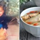 Man Shares Story About How Childhood Pet Chicken "Disappeared", Netizens Relate - WORLD OF BUZZ