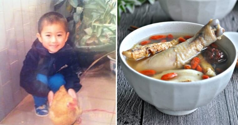 Man Shares Story About How Childhood Pet Chicken "Disappeared", Netizens Relate - WORLD OF BUZZ
