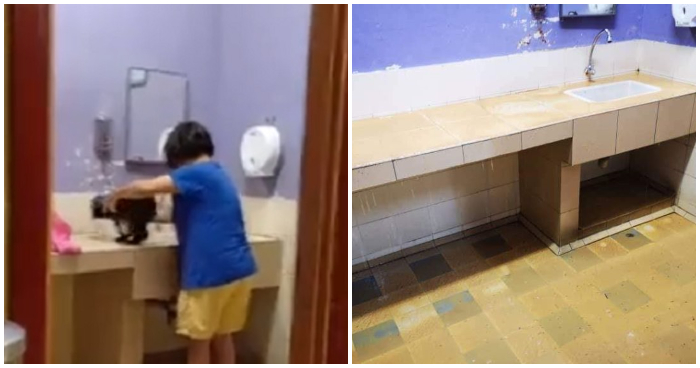 M'sian Outraged at Woman Bathing Dog in (Place) R&R Despite Telling Her to Stop - WORLD OF BUZZ