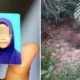 Nur Alert Not Activated For 11yo Pekan Girl Because She Had No Identification Documents - WORLD OF BUZZ 3