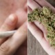 Research: Men Who Smoke Weed Have Higher Sperm Counts - WORLD OF BUZZ