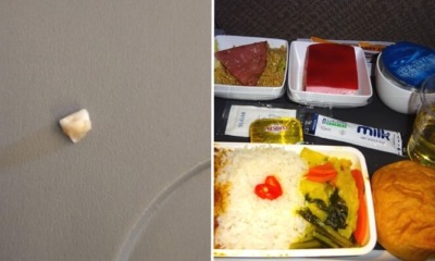 Singapore Airlines Investigating After Passenger Shockingly Finds Human Tooth in His Rice - WORLD OF BUZZ