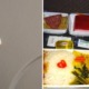 Singapore Airlines Investigating After Passenger Shockingly Finds Human Tooth in His Rice - WORLD OF BUZZ