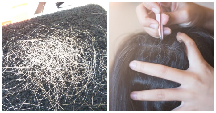 Tired of Plucking Your White Hairs? This Japanese Store Will Do It For You For RM126! - WORLD OF BUZZ 2