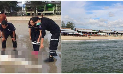 Two Headless Bodies and Woman's Head Washed Up on Thai Beaches - WORLD OF BUZZ
