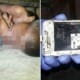 7yo Boy Electrocuted to Death After He Used Grandma's Mobile Phone While Charging - WORLD OF BUZZ 1