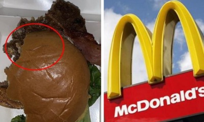 Burger - WORLD OF BUZZ 3