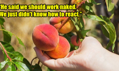 Documentary Reveals How Ladies Are Sexually Harassed During Working Holiday In Australia - WORLD OF BUZZ