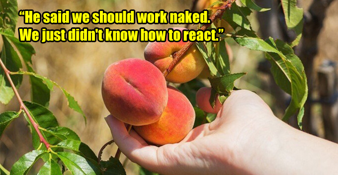 Documentary Reveals How Ladies Are Sexually Harassed During Working Holiday In Australia - WORLD OF BUZZ