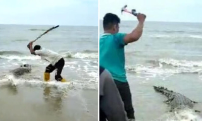 Footage Of People Savagely Beating Trapped Crocodile With Hammers And Sticks Goes Viral, Netizens Horrified - WORLD OF BUZZ 3