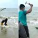 Footage Of People Savagely Beating Trapped Crocodile With Hammers And Sticks Goes Viral, Netizens Horrified - WORLD OF BUZZ 3