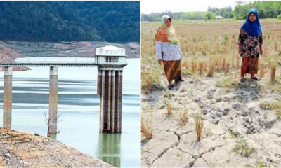 Heatwave Affecting Dam Water Levels And Padi Plantation In Malaysia - WORLD OF BUZZ 3