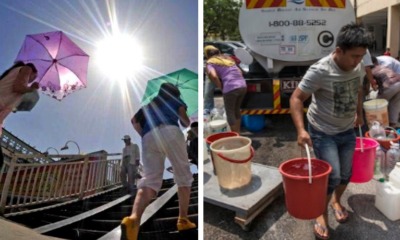 Hot Weather - WORLD OF BUZZ 4