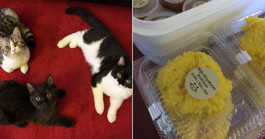 M'sian Gets His Pet Cats Castrated, Celebrates By Giving Pulut & Rendang To Colleagues - WORLD OF BUZZ 3