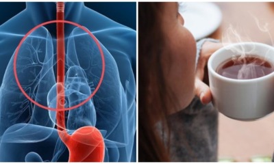 New Study Reveals Drinking Really Hot Tea Could Lead to Higher Risk of Oesophageal Cancer, Here's Why - WORLD OF BUZZ 1