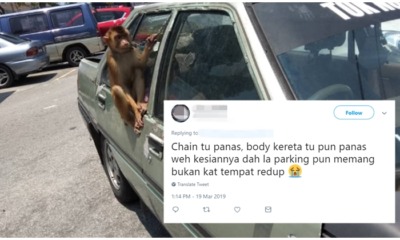 Pakcik Ties Monkey To - WORLD OF BUZZ 1