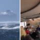 Shocking Videos Of Passengers Thrown Around Cruise Ship After Engines Fail During Storm Go Viral - WORLD OF BUZZ